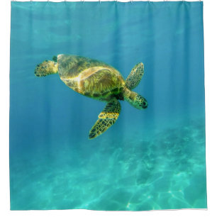 Sea Turtle swimming in turquoise ocean water