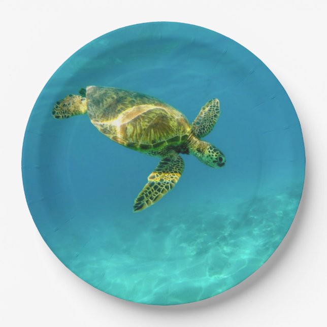 Sea Turtle swimming in turquoise ocean water Paper Plate (Front)
