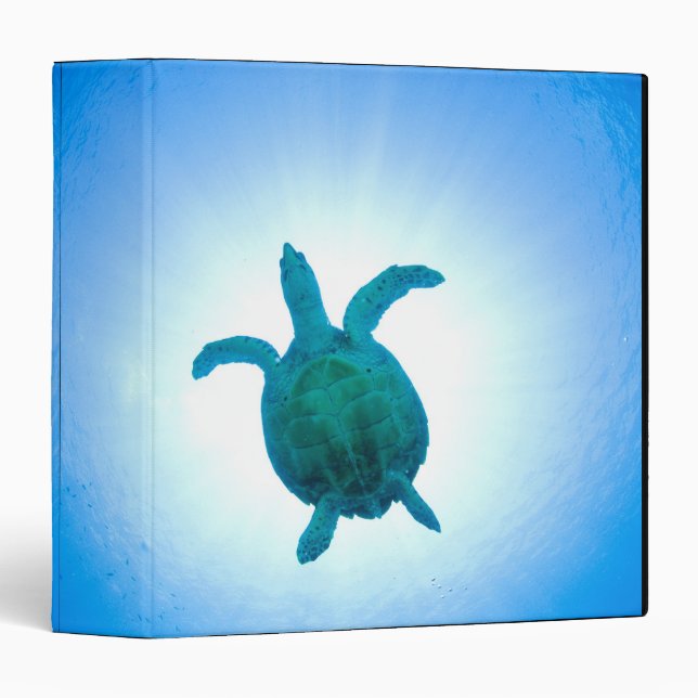 Sea turtle swimming underwater binder (Front/Spine)