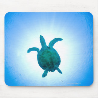 Sea turtle swimming underwater mouse pad