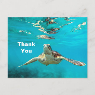Sea Turtle Thank You Postcard