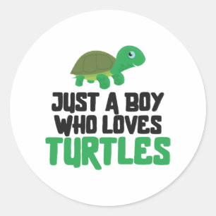 Sea Turtle Tortoise Just A Boy Who Classic Round Sticker