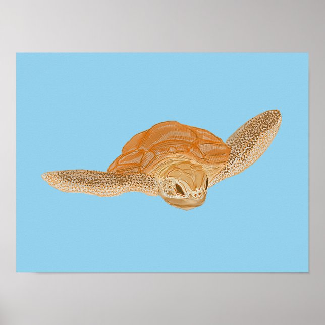 Sea Turtle under Water - transparent. Poster (Front)