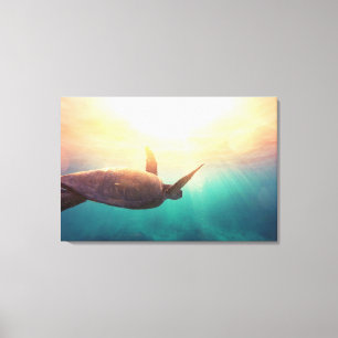 Sea Turtle - Underwater Nature Photography Canvas Print