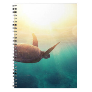 Sea Turtle - Underwater Nature Photography Notebook