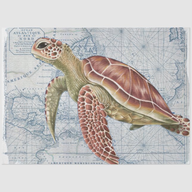 Sea Turtle Vintage Map Nautical Beach Tissue Paper (Front)