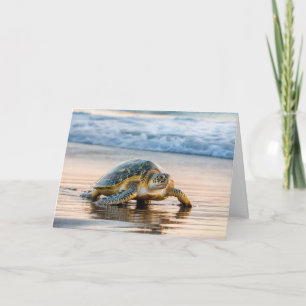 Sea Turtle Walking an Ocean Beach Card