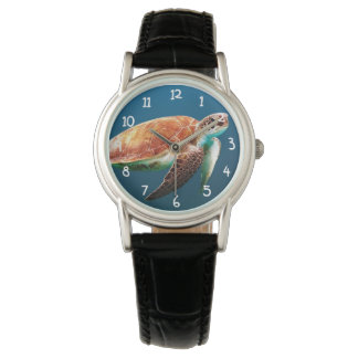 Sea Turtle Watch