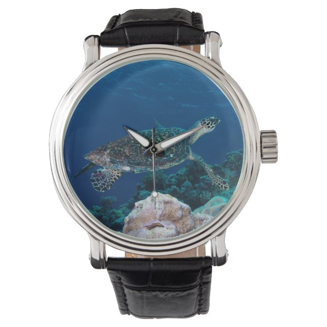 Sea Turtle Watch (Front)
