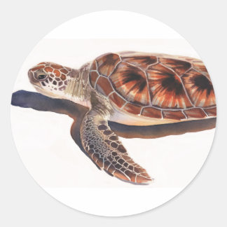 Sea Turtle Wildlife Watercolor Art Classic Round Sticker