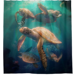 Sea Turtles