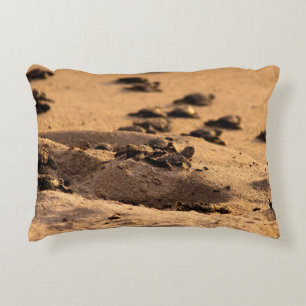 Sea Turtles Decorative Pillow