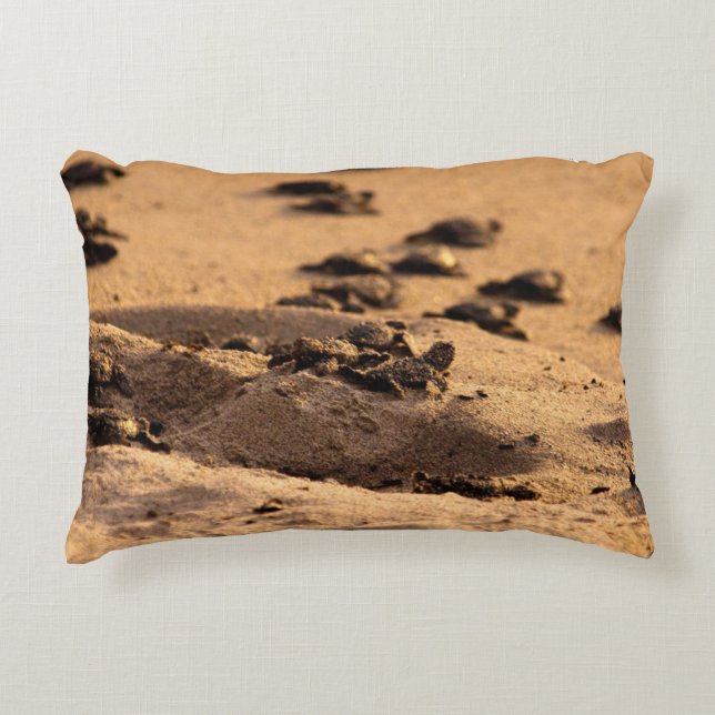 Sea Turtles Decorative Pillow (Front)
