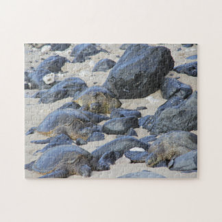 Sea Turtles in Maui Jigsaw Puzzle