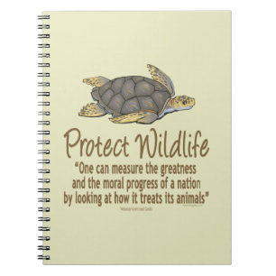 Sea Turtles Notebook