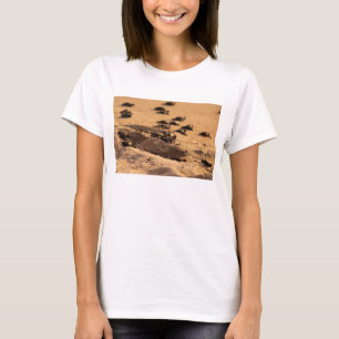 Sea Turtles T-Shirt
