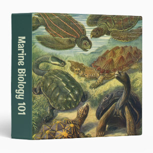 Sea Turtles Vintage Land Tortoise by Ernst Haeckel Binder
