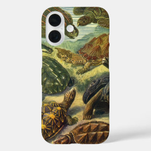 Sea Turtles Vintage Land Tortoise by Ernst Haeckel iPhone 16 Case