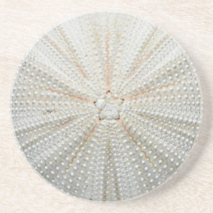 Sea Urchin Coaster