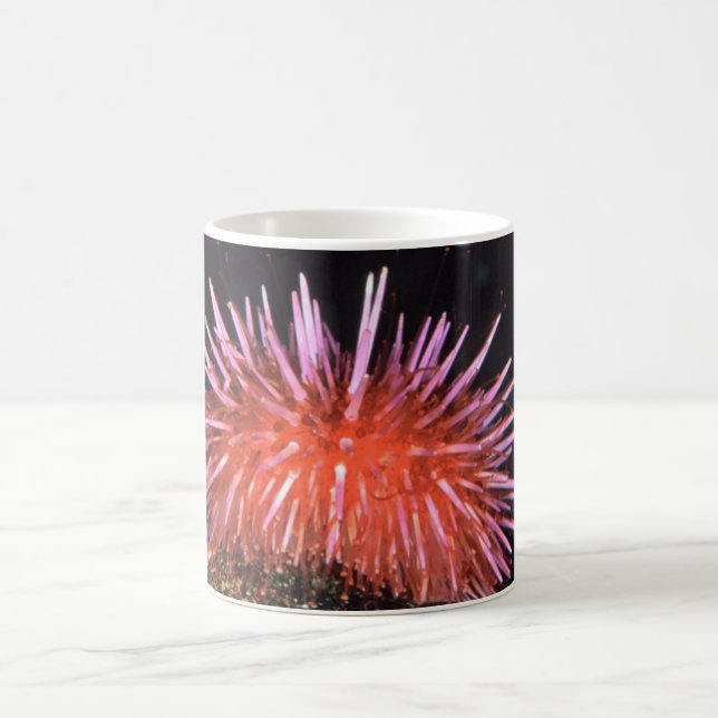 Sea Urchin Coffee Mug (Center)