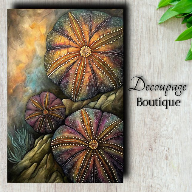 Sea Urchin Decoupage  Tissue Paper (Sea Urchin Decoupage Tissue Paper)