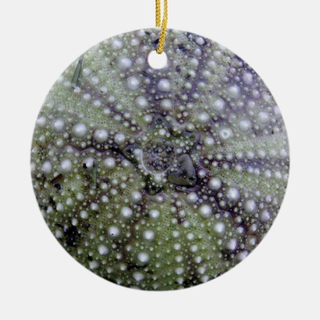 Sea Urchin Seashell Ceramic Ornament (Front)