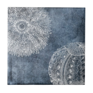 Sea Urchin Watercolor Ocean Navy Blue White Tile