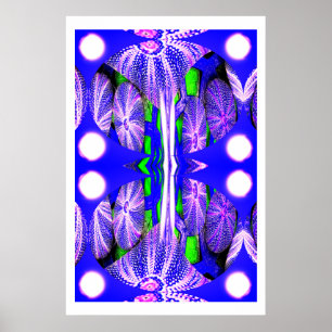 Sea urchins in moonlight art poster