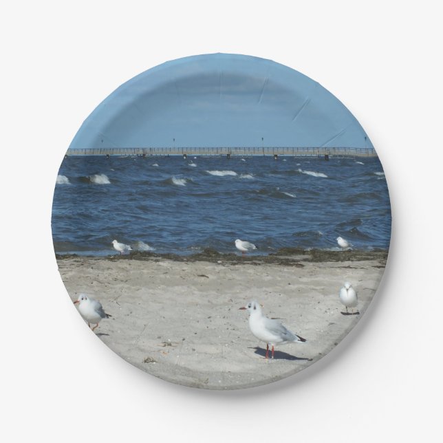 sea, water, seagull, bird, travel, blue, sky, paper plate (Front)