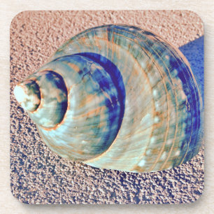 Sea Welk Seashell Coaster