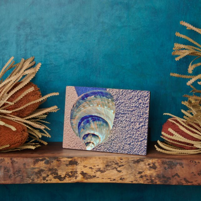 Sea Welk Seashell Plaque (Side)
