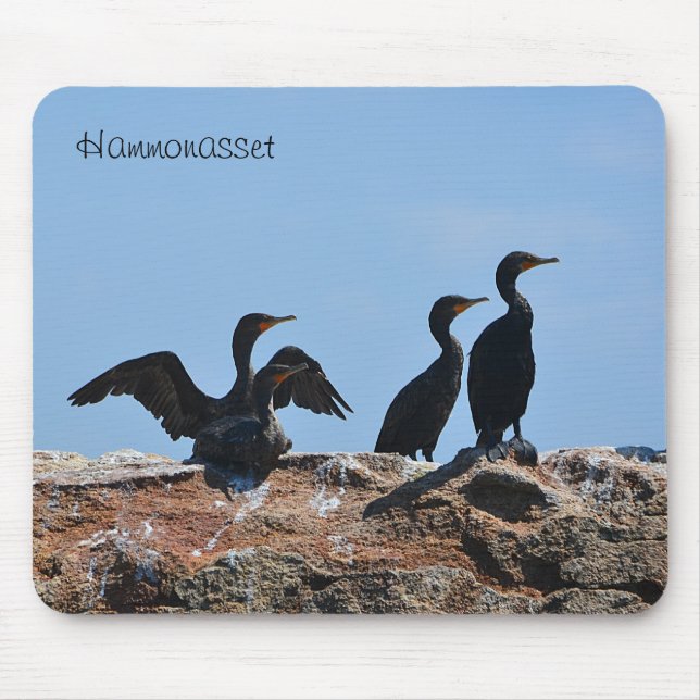 Seabird Mousepad (Front)