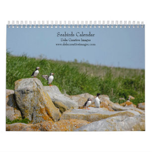 Seabirds at Machias Seal Island 2025 Calendar