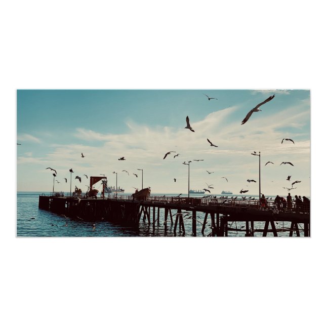 Seabirds Over the Pier Poster (Front)