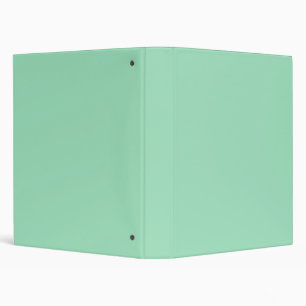 Seafoam Green Solid Colour Binder