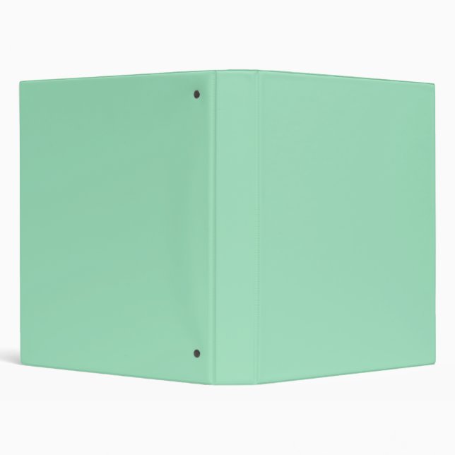 Seafoam Green Solid Colour Binder (Background)