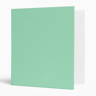 Seafoam Green Solid Colour Binder