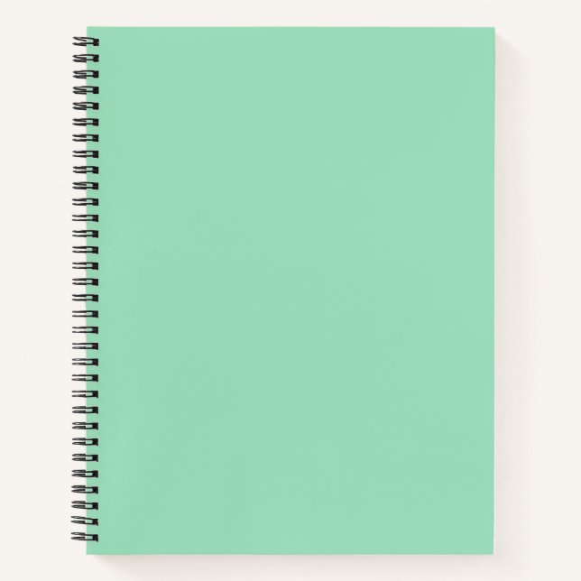 Seafoam Green Solid Colour Notebook (Front)