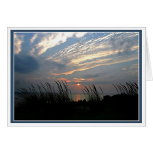 Seagrass  Sunrise