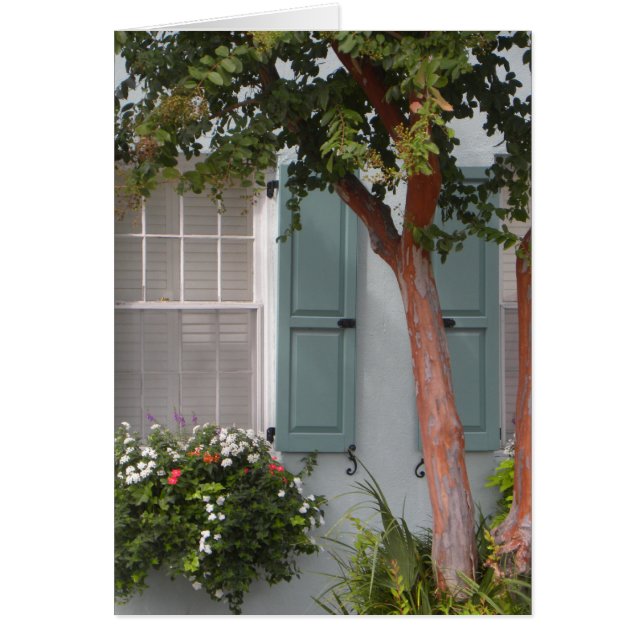 Seagreen Shutters (Devant)