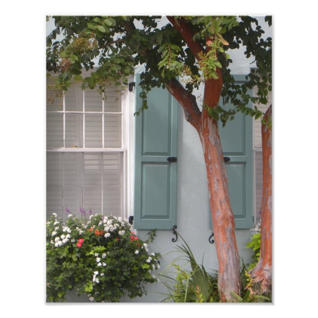 Seagreen shutters photo print (Front)
