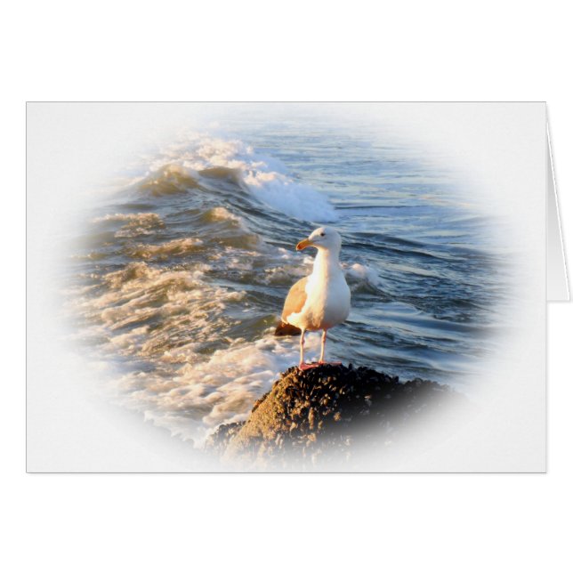 Seagull (Front Horizontal)