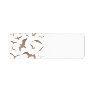 Seagull