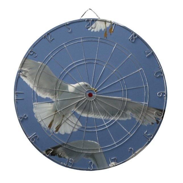 seagull-11.jpg dartboard (Front)