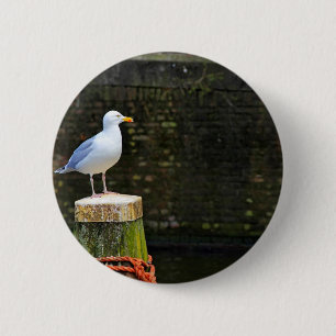 Seagull 2 Inch Round Button