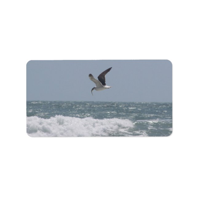 Seagull Address Label (Front)