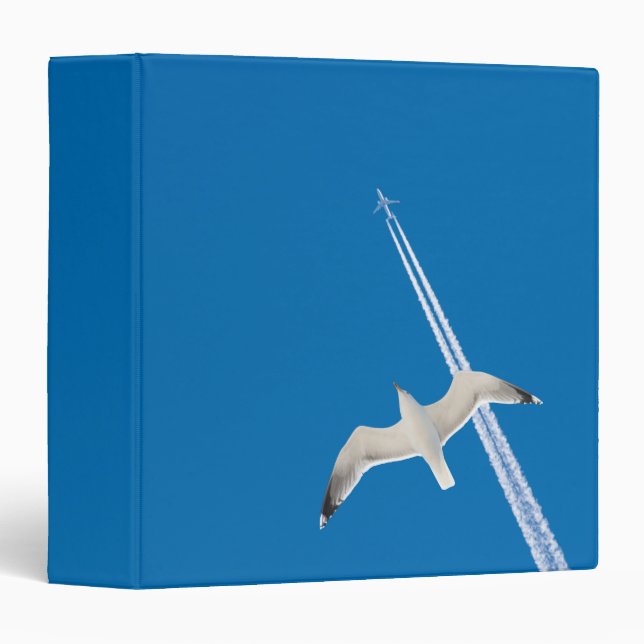 Seagull and airplane binder (Front/Spine)