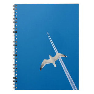 Seagull and airplane notebook