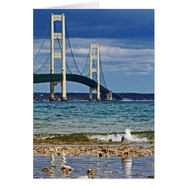 Seagull and Mackinac Bridge (Front)