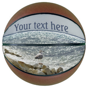 Seagull and sea basketball